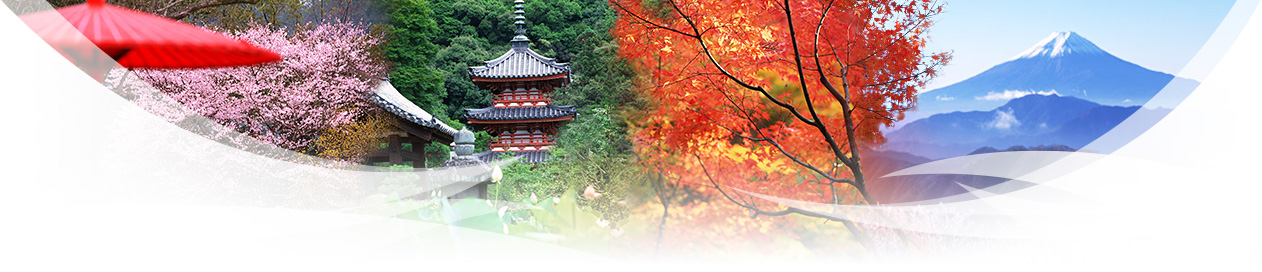 top 10 travel agents in japan